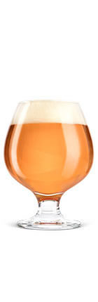 Hazt IPA Glass 