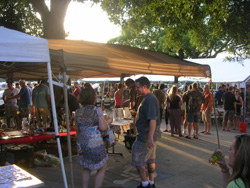 Dunedin Brewery Fest Outside / Swag Table