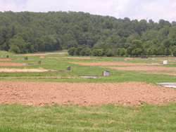 Hops _Research_Site_Mills_River_NC