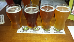 Sanford Brewing Sanford, FL Flight / Taps