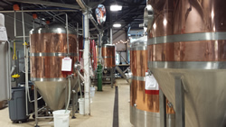 Tarpon river Brewing Bar / Brewing System
