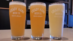 Steady Hand Beer Co Photos of 3 IPAs and Taproom Bar