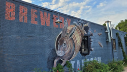 Swamp Rabbit Brewery Photos Outside Rabbit / Sticker Wall
