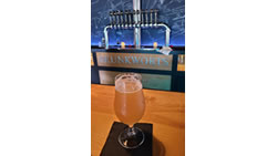 Skunkworts Brewing IPA at Bar / Outdoor Patio at Night