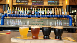 Sweetwater Brewing Co Flight and Taps / Tap Room