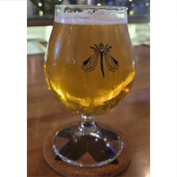 Skeeta Hawk Brewing Photos